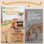 Chó con ăn bằng bát nâng cao Petco Global hỗ trợ tiêu hóa, giảm đầy hơi