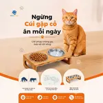 Bát ăn nghiêng Petco Global giúp mèo giảm mỏi cổ khi ăn mỗi ngày