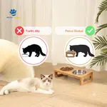 So sánh trước và sau khi dùng bát ăn nghiêng Petco Global cho mèo