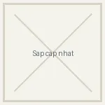 Nhà cây mèo Catlotus - ảnh chi tiết sắp cập nhật
