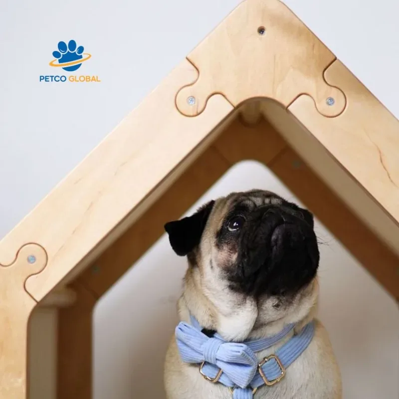 Chó Pug ngước nhìn phần đỉnh mái khung gỗ tam giác của nhà Harmony